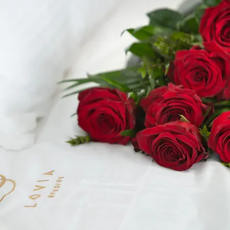 Lovia Mykonos (adults Only) Hotell Mykonos Town