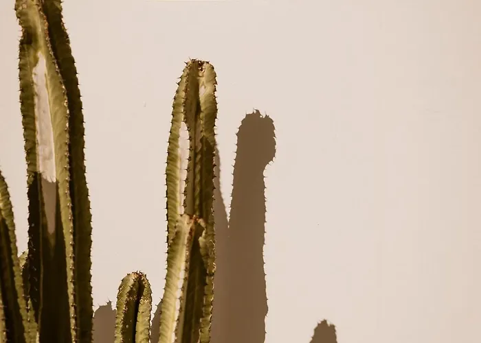 Lovia Mykonos (adults Only)